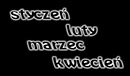 Ilustracja do artykułu: Przeżyjmy to jeszcze raz. Ważniejsze wydarzenia 2009 roku. 