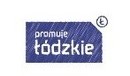 Ilustracja do artykułu: Rozwój e-usług publicznych z zakresu infrastruktury informacji przestrzennej świadczonych przez Powiat Tomaszowski