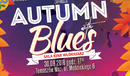 Ilustracja do artykułu: Tomaszowska Jesień z Bluesem