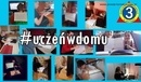 Ilustracja do artykułu: Nagrody w Tomaszowskim Festiwalu Kwarantanny