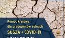 Ilustracja do artykułu: ARiMR – trwa nabór wniosków o wsparcie dla rolników poszkodowanych przez COVID-19 i ubiegłoroczną suszę