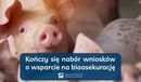 Ilustracja do artykułu: Kończy się nabór wniosków o wsparcie na bioasekurację