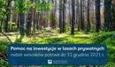Ilustracja do artykułu: Rusza pomoc na inwestycje w lasach prywatnych 