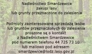 Ilustracja do artykułu: Nadleśnictwo Smardzewice zakupi lasy lub grunty przeznaczone do zalesienia
