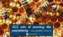 Ilustracja do artykułu: ARiMR informuje: 35,5 mln zł pomocy dla pszczelarzy – zapowiedź naboru