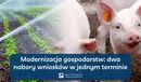 Ilustracja do artykułu: Już można ubiegać się o wsparcie na inwestycje w produkcję prosiąt lub nawadnianie