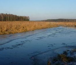 Zdjęcie z galerii: Królewska Pilica 2016