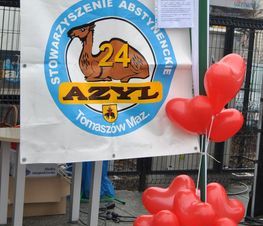Zdjęcie z galerii: Festyn Rodzinny „Z Miłości do Zdrowia”