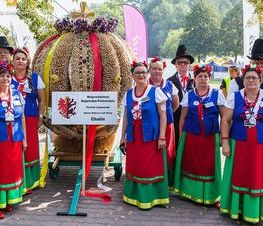 Zdjęcie z galerii: Dożynki Prezydenckie w Spale 2016