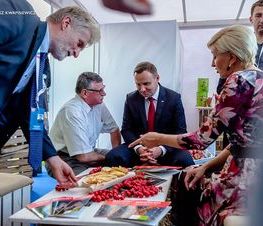 Zdjęcie z galerii: Dożynki Prezydenckie w Spale 2016