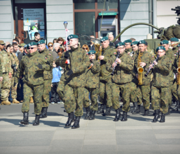 Zdjęcie z galerii: Piknik NATO
