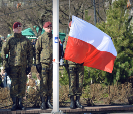 Zdjęcie z galerii: Piknik NATO