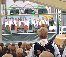 Zdjęcie z galerii: Dożynki Powiatowe Ujazd 2017