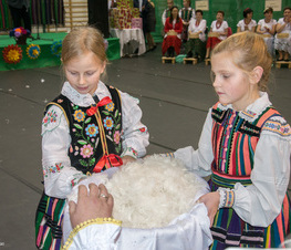 Zdjęcie z galerii: Darły pierze w Rzeczycy