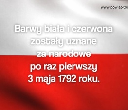 Zdjęcie z galerii: Święto flagi w czasie pandemii