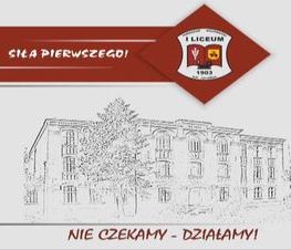 Zdjęcie z galerii: „Nie czekamy! Działamy!” – rewelacyjne prace uczniów z I LO