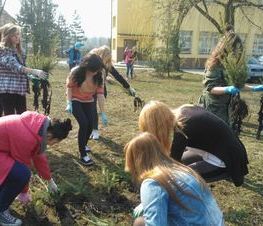 Zdjęcie z galerii: Forum ekologiczne 2020 w ZSP nr 8