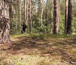 Zdjęcie z galerii: Tomaszowscy Strzelcy wciąż kreatywni i aktywni 