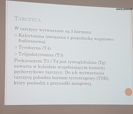 Zdjęcie z galerii: Dieta w chorobie Hashimoto – spotkanie z dr Anną Rogulską w Powiatowym Centrum Animacji Społecznej