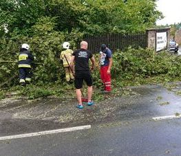 Zdjęcie z galerii: Strzelcy z Jednostki 1002 pomagali przy usuwaniu skutków nawałnicy