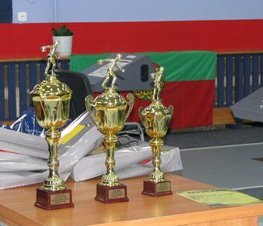 Zdjęcie z galerii: IX Spartakiada Władz Samorządowych - Zawody w Kręglarstwie Klasycznym w Tomaszowie Maz.