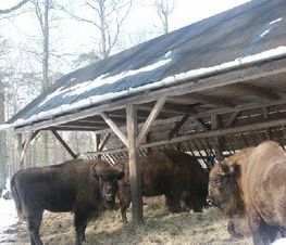 Zdjęcie z galerii: Wizyta Szwedzkiej delegacji w Powiecie Tomaszowskim - 06.03.2004r