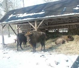 Zdjęcie z galerii: Wizyta Szwedzkiej delegacji w Powiecie Tomaszowskim - 06.03.2004r