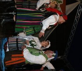 Zdjęcie z galerii: Sobótki w Smardzewicach gm. Tomaszów Maz. - 23.06.2009 r. 