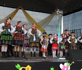 Zdjęcie z galerii: Smardzewickie Sobótki 2011