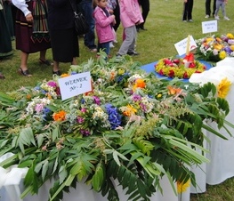 Zdjęcie z galerii: Powiatowa Sobótka w Smardzewicach - 22.06.2012