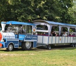 Zdjęcie z galerii: Koncert Strażackich Orkiestr Dętych Spała 2015