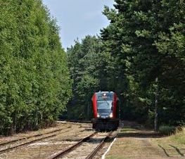 Zdjęcie z galerii: Kolej na Spałę