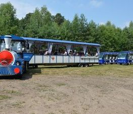 Zdjęcie z galerii: Kolej na Spałę