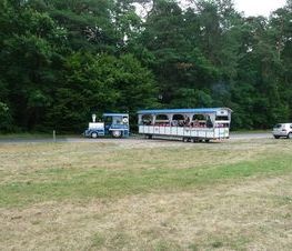 Zdjęcie z galerii: Zdjęcia z kolejnego przyjazdu pociągu akcji 'Kolej na Spałę' zdj.wyk. Jerzy Miś