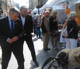 Zdjęcie z galerii: Zdjęcia z Ogólnopolskiego Mixera Regionalnego Łódzkie 2015