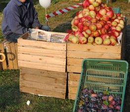 Zdjęcie z galerii: Dożynki Prezydenckie w Spale -Sobota 12.09.2015