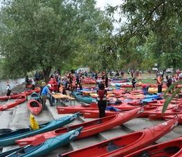 Zdjęcie z galerii: Pilica Zachwyca 2015
