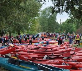 Zdjęcie z galerii: Pilica Zachwyca 2015