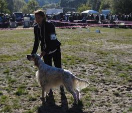 Zdjęcie z galerii: Hubertus Spalski -zdjęcia z 10 października 2015