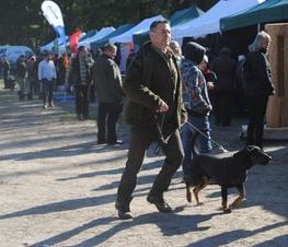 Zdjęcie z galerii: Hubertus Spalski -zdjęcia z 10 października 2015