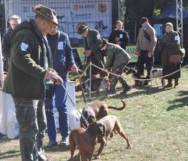 Zdjęcie z galerii: Hubertus Spalski -zdjęcia z 10 października 2015