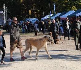 Zdjęcie z galerii: Hubertus Spalski -zdjęcia z 10 października 2015