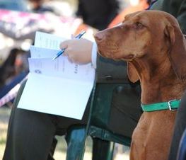Zdjęcie z galerii: Hubertus Spalski -zdjęcia z 10 października 2015