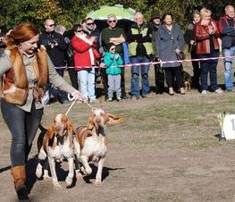 Zdjęcie z galerii: Hubertus Spalski -zdjęcia z 10 października 2015
