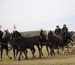 Zdjęcie z galerii: Hubertus Spalski-zdjęcia z 11 października 2015