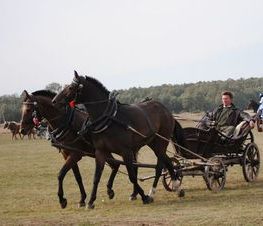 Zdjęcie z galerii: Hubertus Spalski-zdjęcia z 11 października 2015