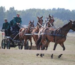 Zdjęcie z galerii: Hubertus Spalski-zdjęcia z 11 października 2015
