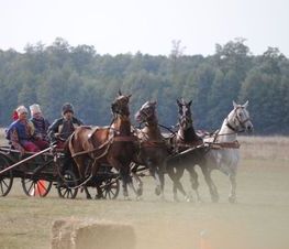Zdjęcie z galerii: Hubertus Spalski-zdjęcia z 11 października 2015
