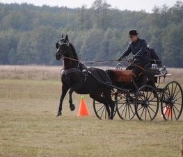 Zdjęcie z galerii: Hubertus Spalski-zdjęcia z 11 października 2015