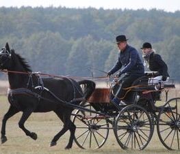 Zdjęcie z galerii: Hubertus Spalski-zdjęcia z 11 października 2015